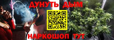 ешки Гатчина