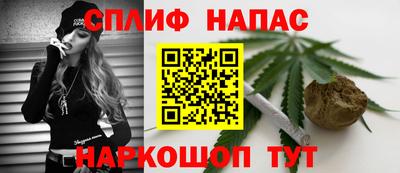 хмурый Гай