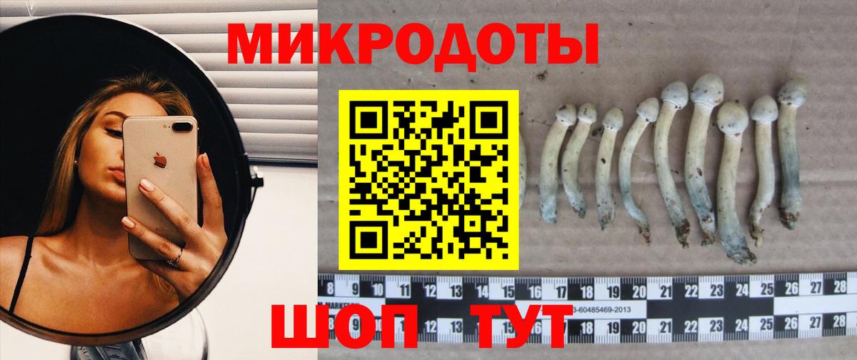 Псилоцибиновые грибы Magic Shrooms  купить наркотик  Галлюциногенные грибы Psilocybe  Можга  Вход с VPN 
